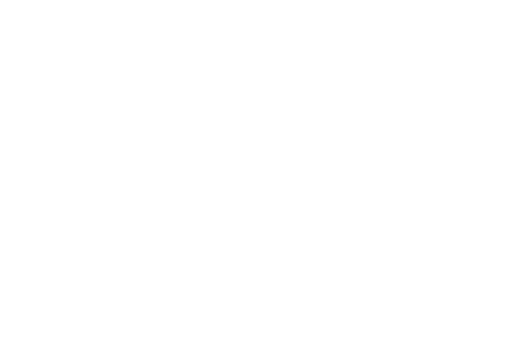 L4Express Logistics Logo